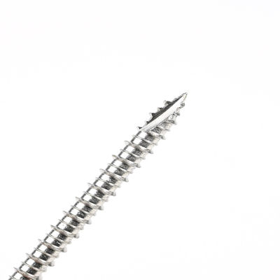 60mm ατσάλινο βιντεοκάμερα με Torx Drive και Phillips Washer Hex Head