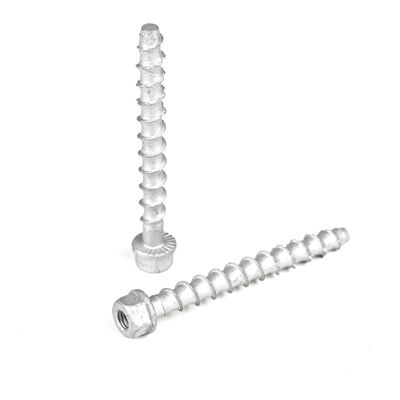 M6 75 mm από ανοξείδωτο χάλυβα Hex Head Beton Anchor Bolt για ράβδο νήματος Προθεσμία πληρωμής T/T