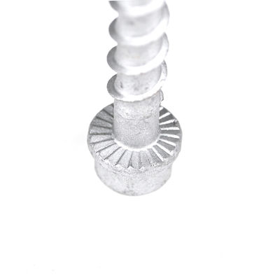 M6 75 mm από ανοξείδωτο χάλυβα Hex Head Beton Anchor Bolt για ράβδο νήματος Προθεσμία πληρωμής T/T