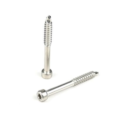 Ατσάλινο Cup Fillister Head Torx Self Tapping Screw για διάφορες εφαρμογές