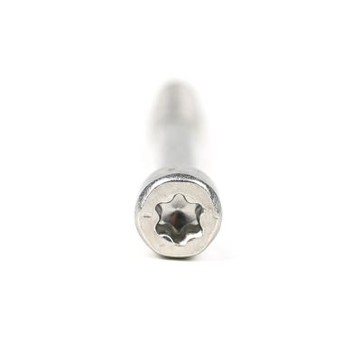Ατσάλινο Cup Fillister Head Torx Self Tapping Screw για διάφορες εφαρμογές