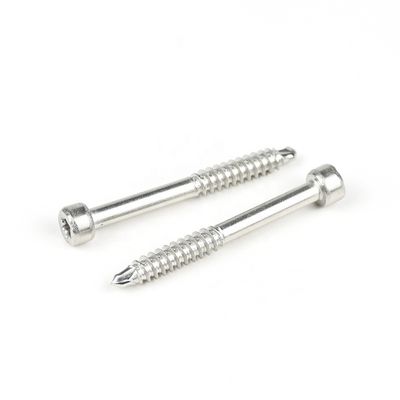 Ατσάλινο Cup Fillister Head Torx Self Tapping Screw για διάφορες εφαρμογές