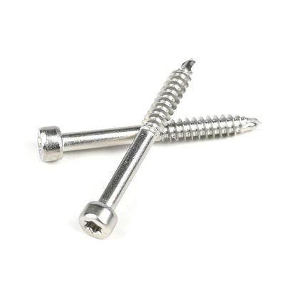 Ατσάλινο Cup Fillister Head Torx Self Tapping Screw για διάφορες εφαρμογές